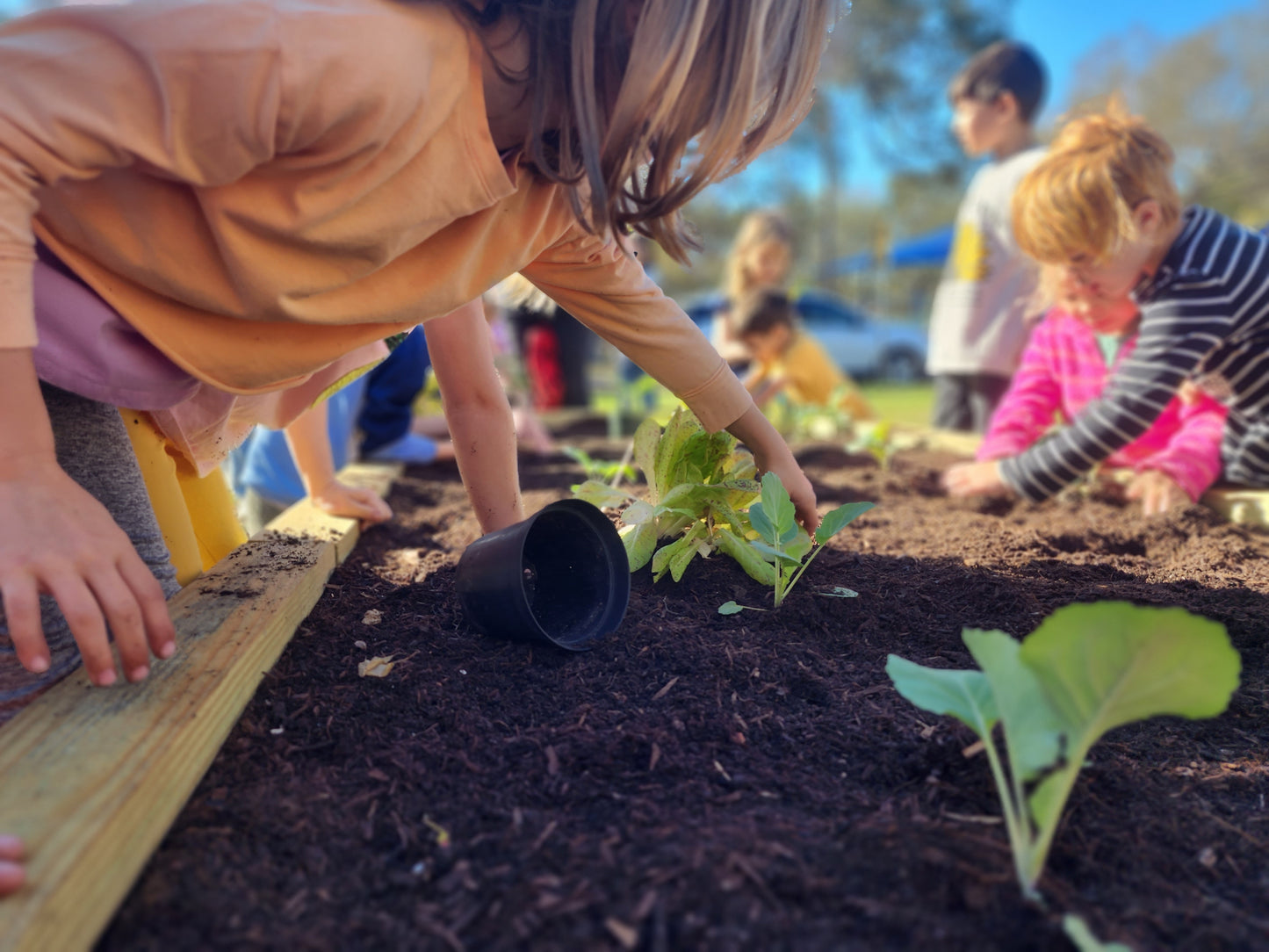 11/14/26 Starting to Garden (Part 3): Maintaining Your Garden