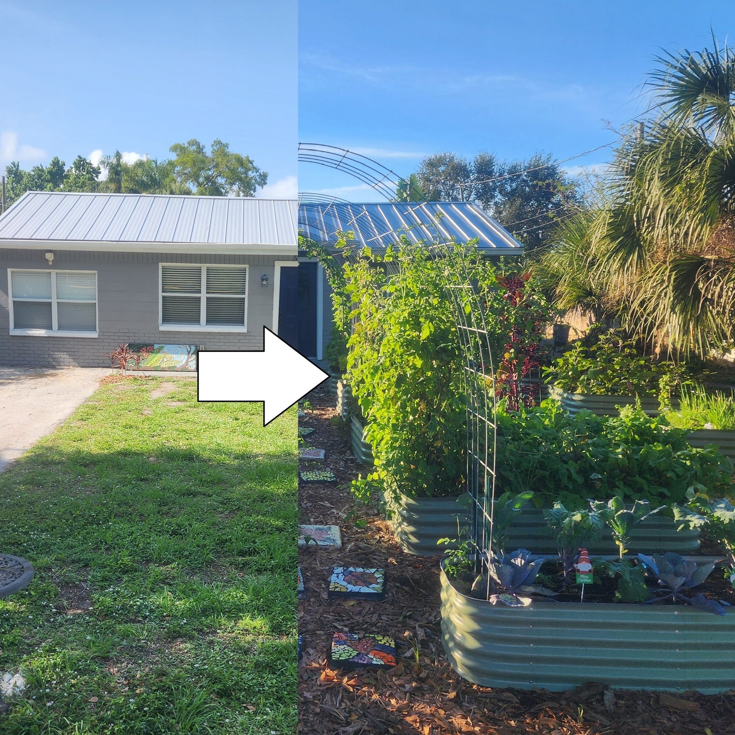 9/19/26 Starting to Garden (Part 1): Making Your Beds and Preparing for Plants