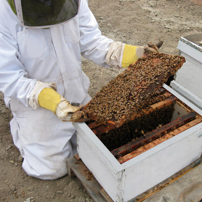 11/21/2026 Introduction to Backyard Beekeeping