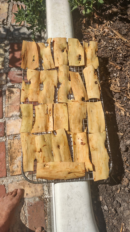 7/18/26 Harvesting Homegrown Cinnamon