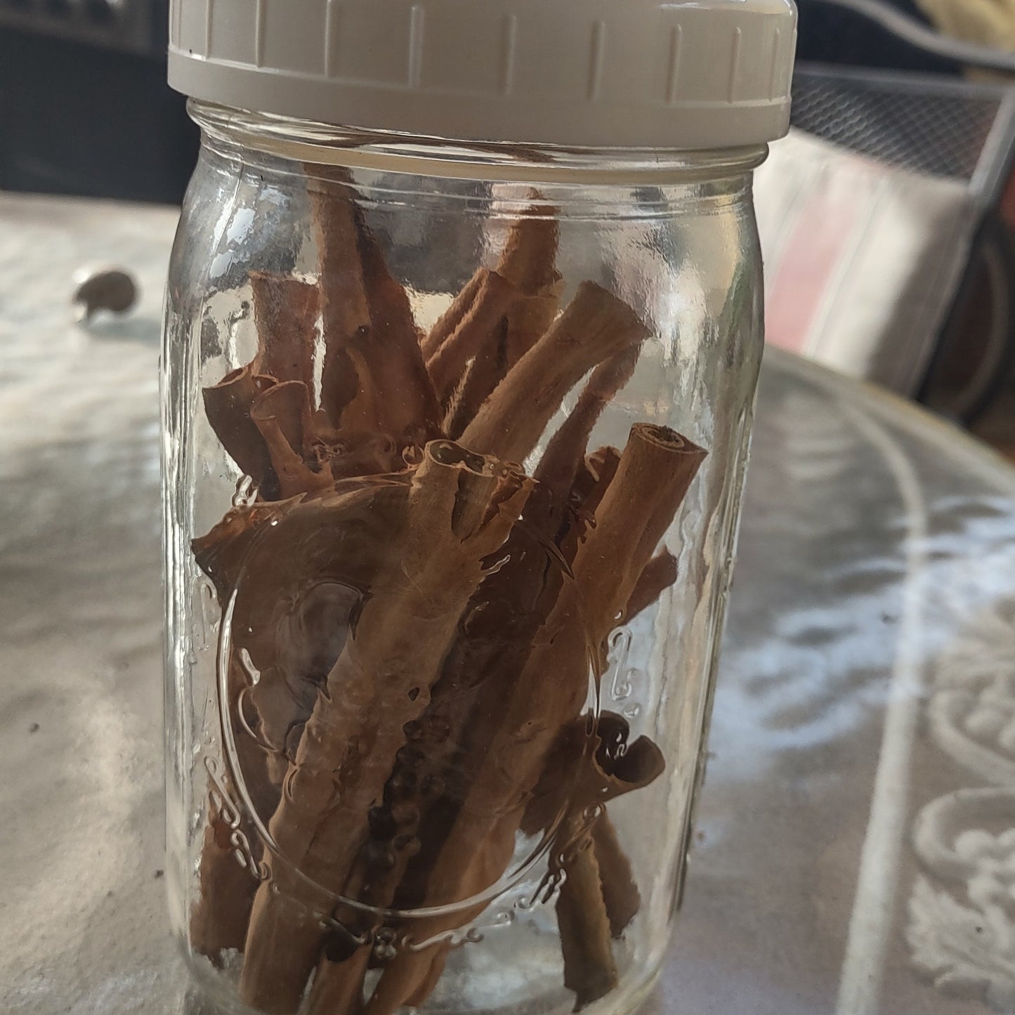 7/18/26 Harvesting Homegrown Cinnamon
