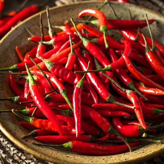 Pepper, Hot - Thai Red Chili  (4" pot)
