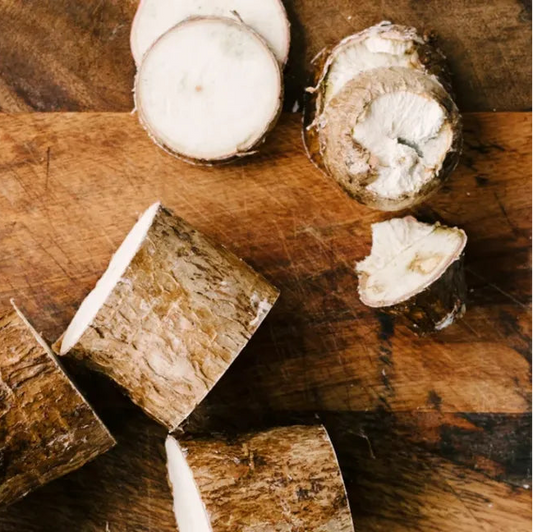 Cassava (Yuca)- Togo (1 Gal Pot)