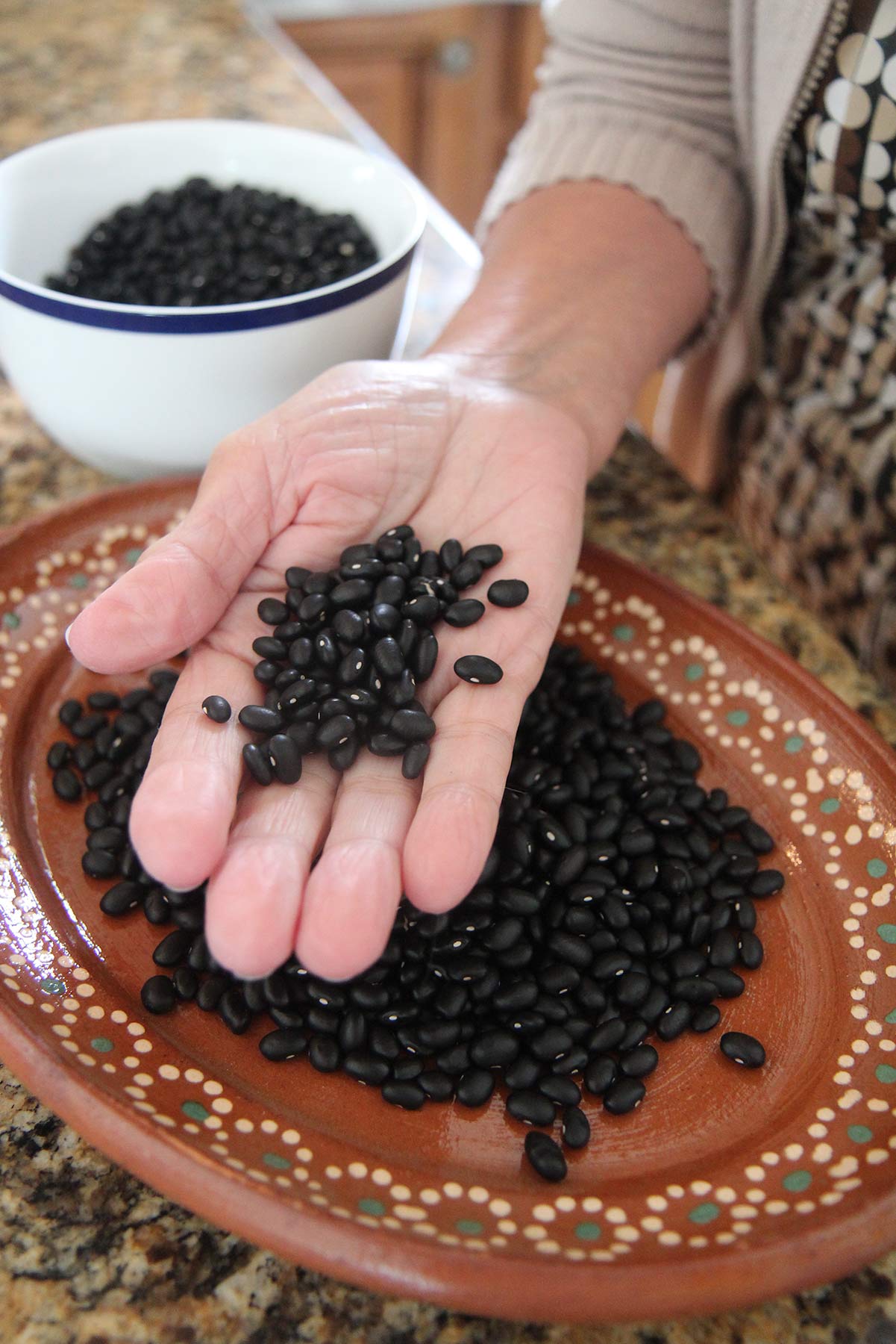 Beans - Puerto Rican Black Bean (Co Pea)  (4" pot)
