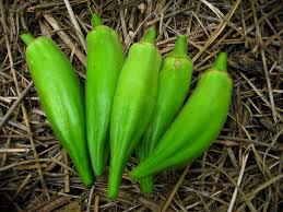 Okra -  Clemson Spineless (4" pot)