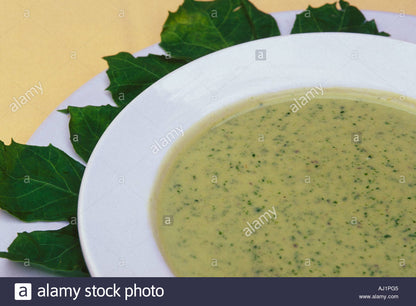Chaya (Tree Spinach) Jumbo Leaf  (1 Gal Pot)