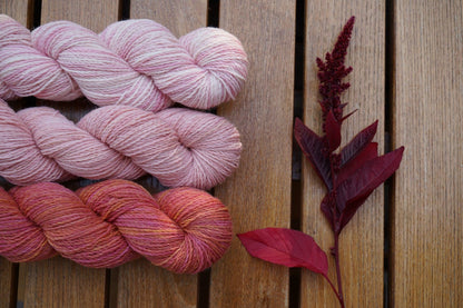 Amaranth (Callaloo) - Hopi Red Dye (4" pot)