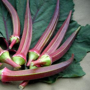 Okra - Bowling Red